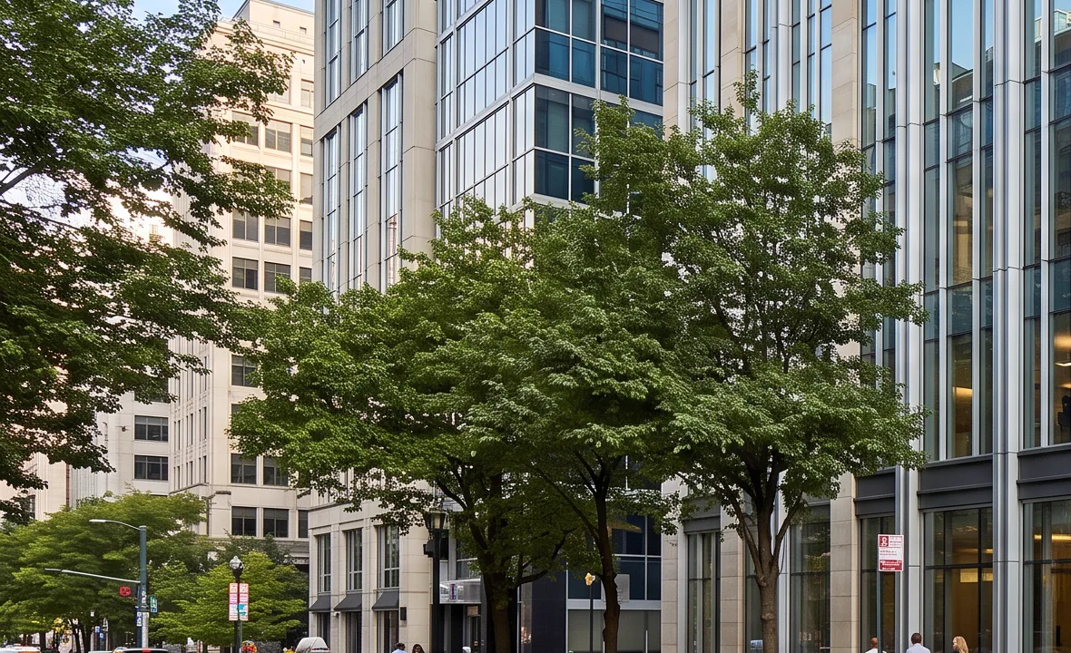 Our building